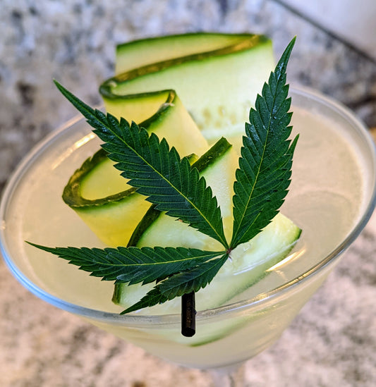Mindful Mocktails: Sip Your Way to Relaxation and Healthy Habits