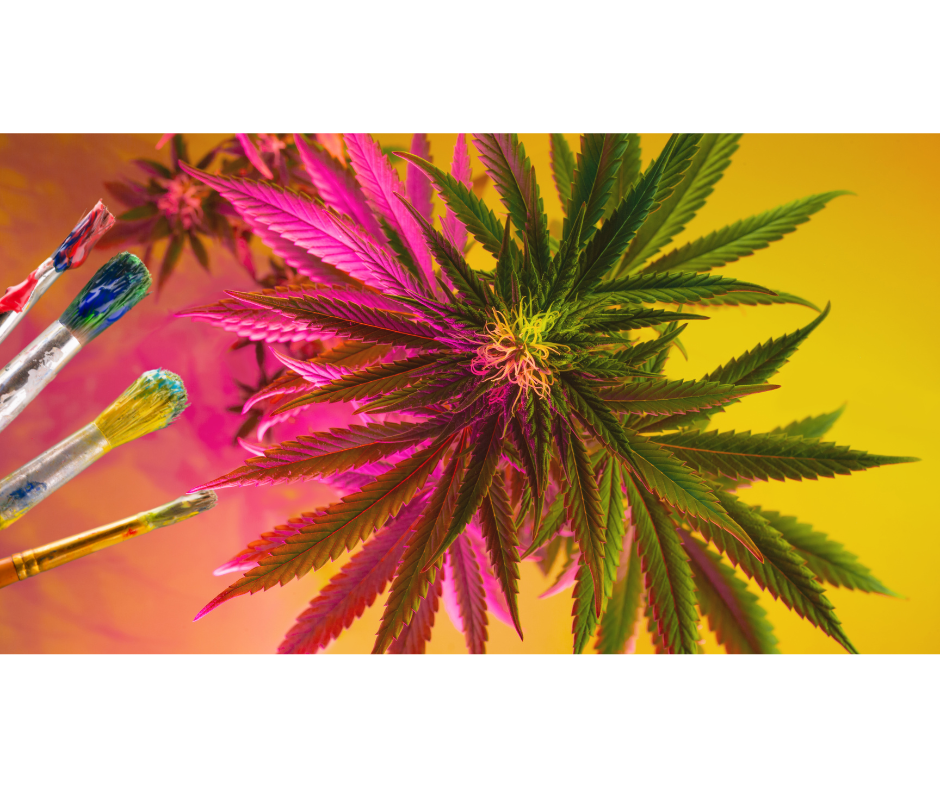 The Artistic Palette: How Painters Are Embracing CBD