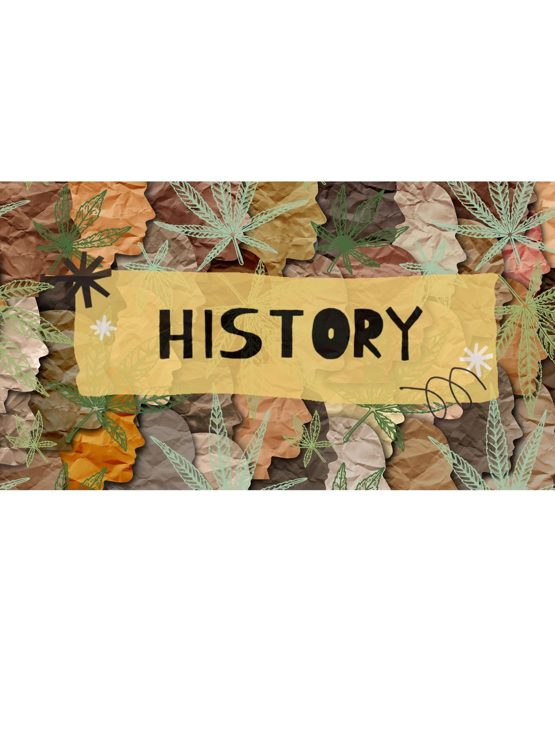 Unveiling the Cultural Phenomenon of CBD: More Than Just a Trend