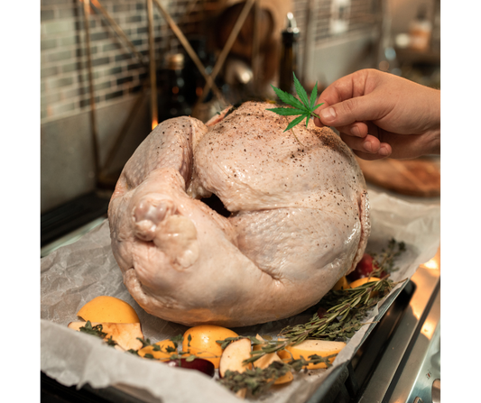 🍂🦃✨Giving Thanks: CBD-Infused Turkey✨🦃🍂