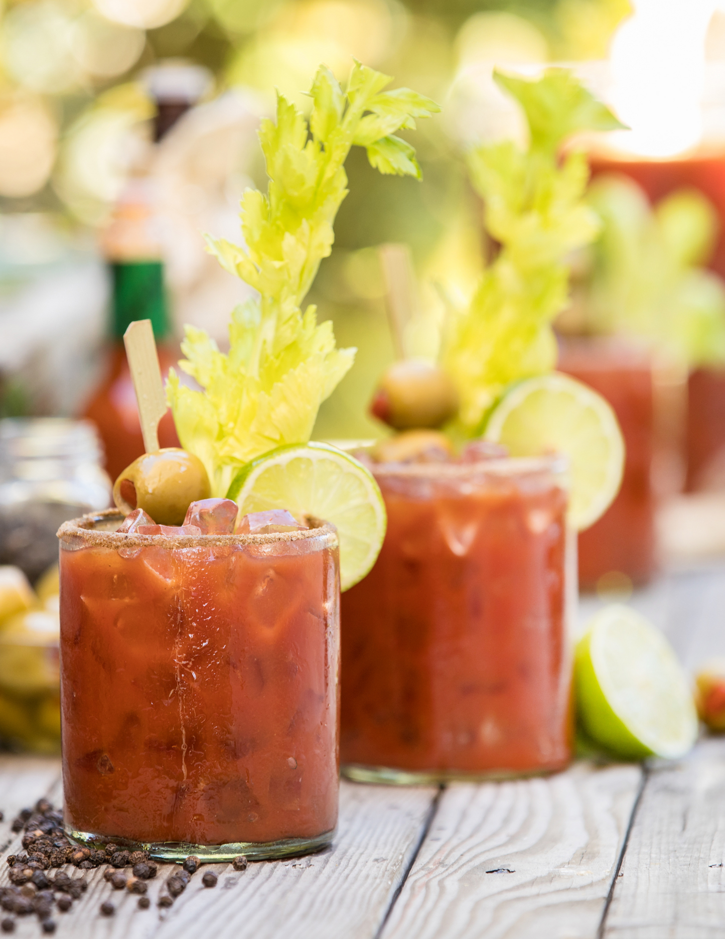 MLLO Mary-6 Pack