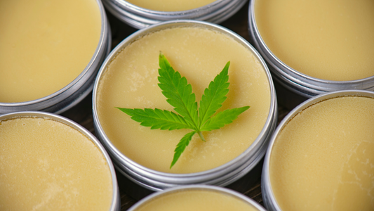 CBD Salve: A Natural Solution for Pain Relief