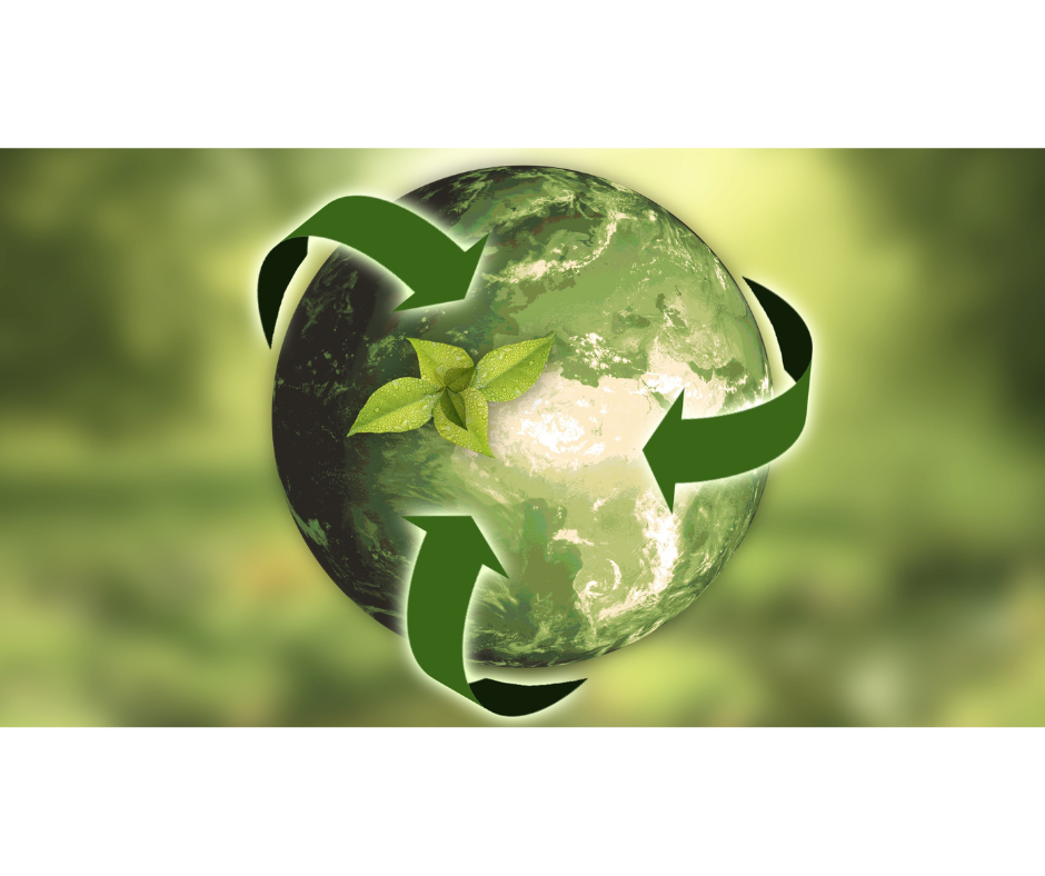 Hemp: A Versatile Wonder Plant Changing the World