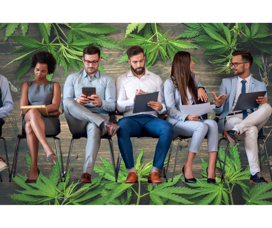 Rolling in Green: Exploring the Blooming Job Opportunities in the Cannabis Industry