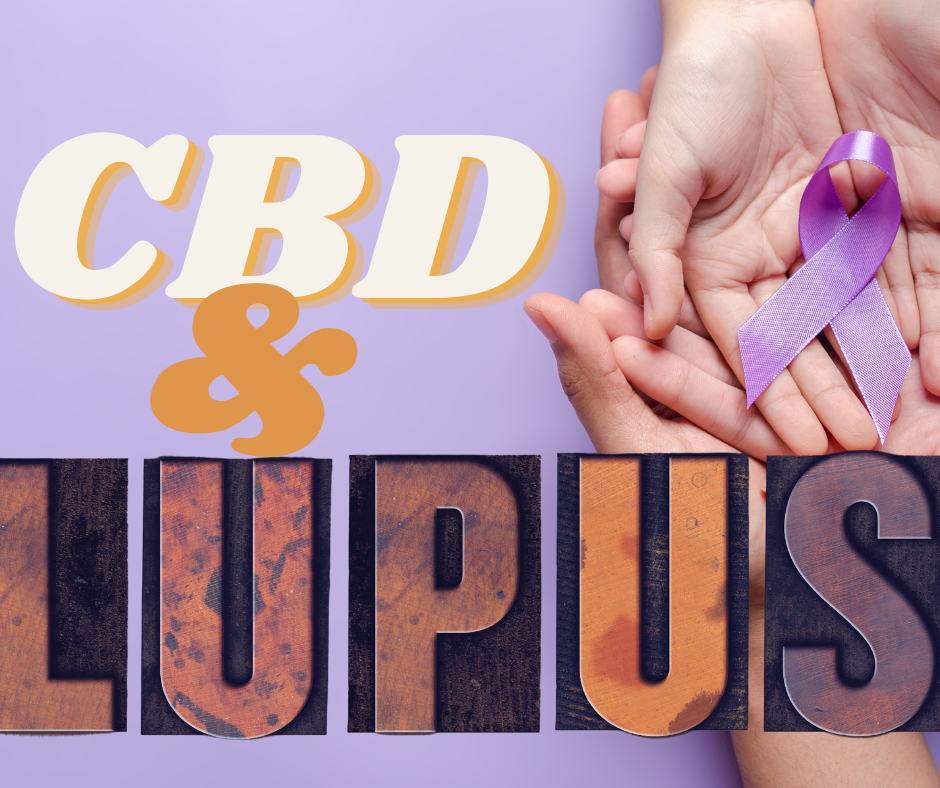 Exploring the Potential Benefits of Full-Spectrum CBD for Lupus